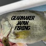 【多々良沼】 バス釣り 2022年10月上旬