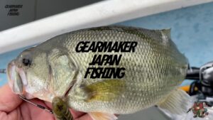 【多々良沼】 バス釣り 2022年10月上旬