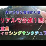 管理釣り場フィッシングサンクチュアリ　フライフィッシング釣行（2022年10月29日）