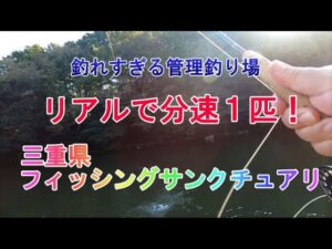 管理釣り場フィッシングサンクチュアリ　フライフィッシング釣行（2022年10月29日）
