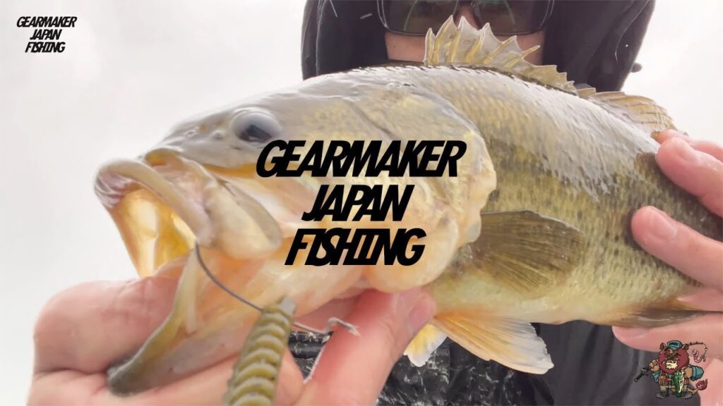 【多々良沼】 バス釣り 2022年11月下旬