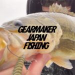 【多々良沼】 バス釣り 2022年11月下旬