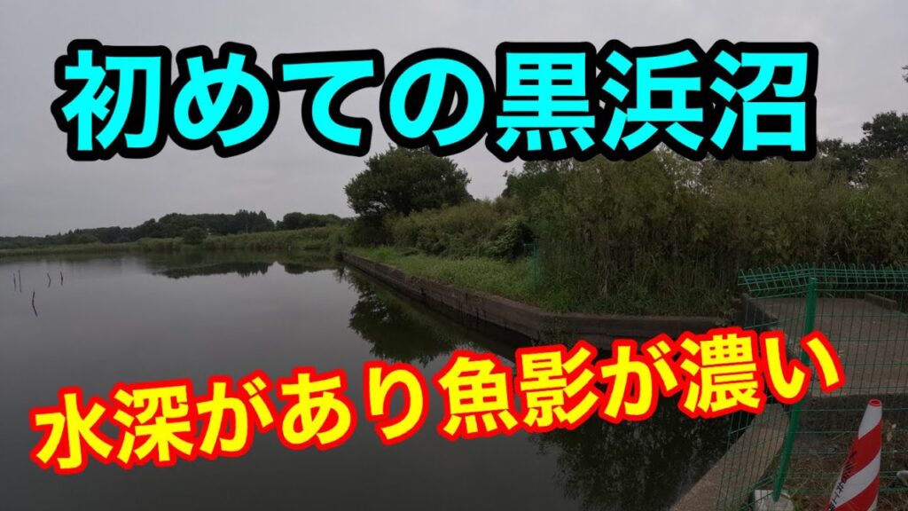 2023.9.16黒浜沼【蓮田市】で釣りしたみた。