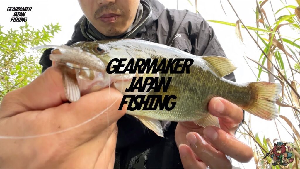 【多々良沼】 バス釣り 2023年9月下旬