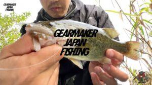 【多々良沼】 バス釣り 2023年9月下旬