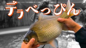 印旛沼の草むらで巨ベラとデラべっぴんを探すのが私の人生【2024印旛沼 前篇】利根川 栗山川 乗っ込みヘラブナ釣り