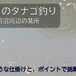 2024,2,12手賀沼でタナゴ釣り