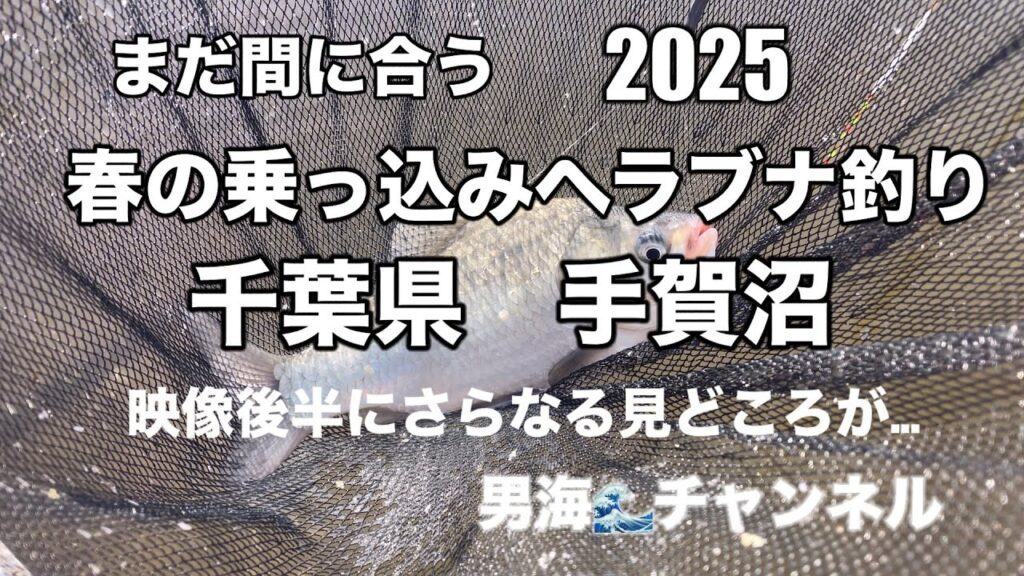 男海🌊チャンネル　2025春の乗っ込みヘラブナ釣り　千葉県手賀沼　本日は、はたきもなく　良型ヘラぶな姿を見せず空振り　動画後半にさらなる見どころが…。まだ間に合う、手賀沼の乗っ込みヘラブナ釣り