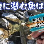 この秘境に潜む魚は！？2025解禁渓流釣り！
