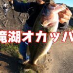 2025高滝湖オカッパリで沢山釣れました