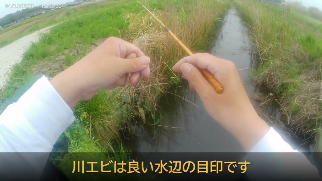 2025 4 20印旛沼の近くの水路でタナゴ釣りの予定がフナ釣りに
