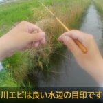 2025 4 20印旛沼の近くの水路でタナゴ釣りの予定がフナ釣りに