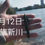 印旛沼水系　印旛新川バス釣り？2025.4.12