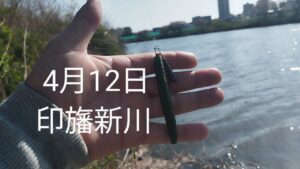 印旛沼水系　印旛新川バス釣り？2025.4.12