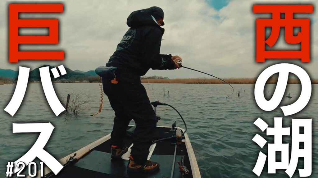 琵琶湖西の湖はコレがあるからやめられない！西の湖マスター優勝までの軌跡2025.4.6