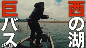 琵琶湖西の湖はコレがあるからやめられない！西の湖マスター優勝までの軌跡2025.4.6