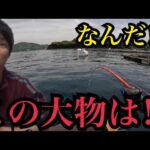 静岡海釣り遠征🎣サビキ釣り、泳がせ釣り、魂のダンゴ釣り🔥2025/04/25