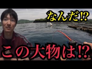 静岡海釣り遠征🎣サビキ釣り、泳がせ釣り、魂のダンゴ釣り🔥2025/04/25