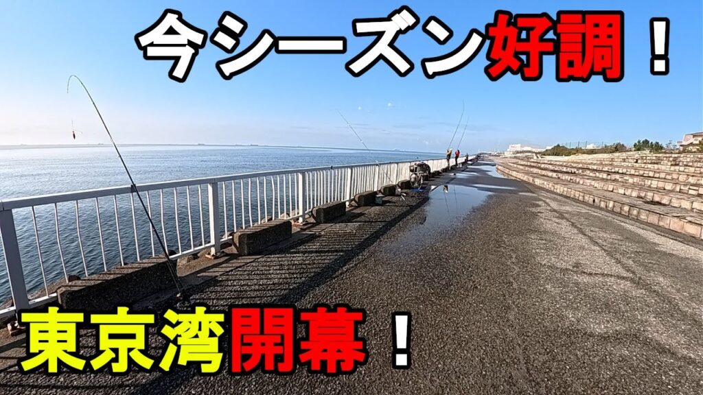 【千葉県某所】2025年春の東京湾で特大高級魚連発！海釣りシーズン序盤の時期に、関東地方の東京湾北部辺りの釣り場で、とある魚を狙ったローカル釣法で数日間釣りしてみたら…！【2025年4月上旬】