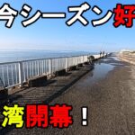 【千葉県某所】2025年春の東京湾で特大高級魚連発！海釣りシーズン序盤の時期に、関東地方の東京湾北部辺りの釣り場で、とある魚を狙ったローカル釣法で数日間釣りしてみたら…！【2025年4月上旬】