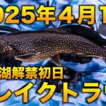 【2025年中禅寺湖解禁】2025年4月1日。中禅寺湖の解禁初日、解禁日初挑戦にも関わらず開始30分で55cmのレイクトラウトと出逢う。釣り以外も充実させるでぶごんルーティン