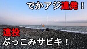 【神奈川県某所】遠投ぶっこみサビキで沖のでかアジ連発！？初春の時期に、関東地方の相模湾に面している砂浜（サーフ）の釣り場で、西湘エリア発祥のローカル釣法で釣りしてみたら…！【2025年3月下旬】