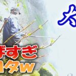 【渓流釣り】大滝で釣りしてみたらえらいこっちゃだったでござる！〈2025年4月中旬〉