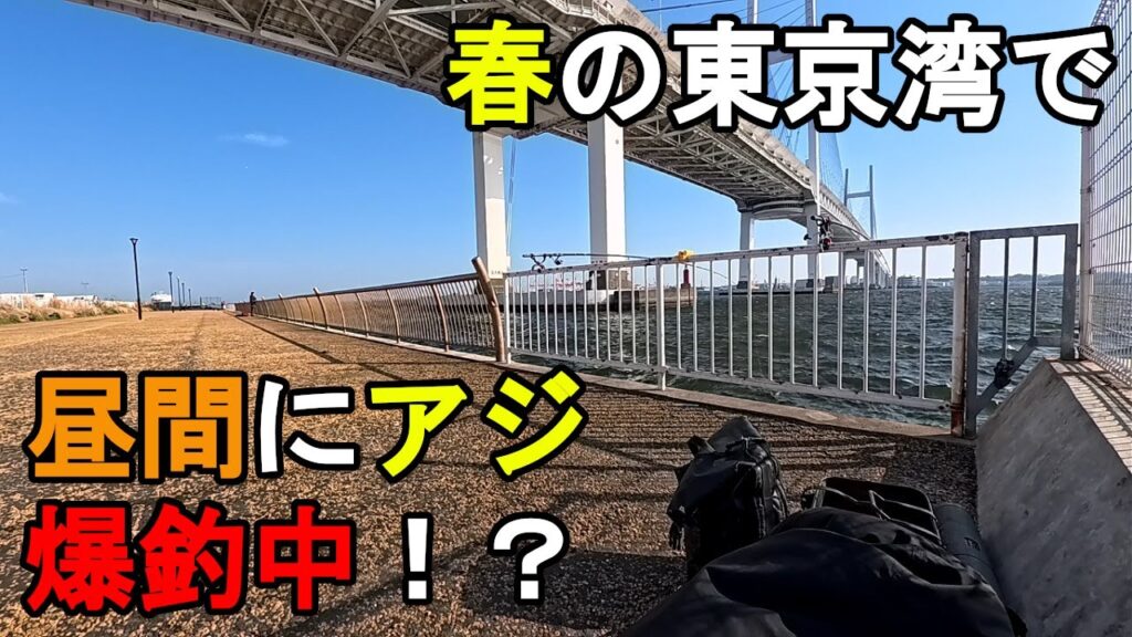 【神奈川県某所】春の東京湾で昼間にアジ爆釣中！？海釣りシーズン序盤の時期に、関東地方の東京湾に面した地域にある釣り場で、日中にアジ狙いで釣りしてみたら…！【2025年4月中旬】　※後半は相模湾での釣行