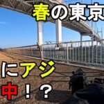【神奈川県某所】春の東京湾で昼間にアジ爆釣中！？海釣りシーズン序盤の時期に、関東地方の東京湾に面した地域にある釣り場で、日中にアジ狙いで釣りしてみたら…！【2025年4月中旬】　※後半は相模湾での釣行