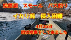 2025年4月26日 桧原湖 スモールマウスバス釣り 今シーズンは開幕が遅れていますよ