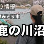 2025/4月【群馬県みどり市】ヘラ師の為の巨大釣り池がある！Fishing Girl | Best Fishing Video