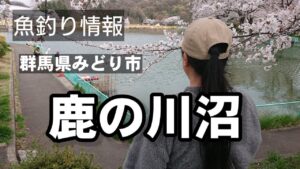 2025/4月【群馬県みどり市】ヘラ師の為の巨大釣り池がある！Fishing Girl | Best Fishing Video