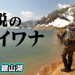 吉田和展が銀山湖でボートから大イワナを狙う 2/2 『TROUT QUEST 17』【釣りビジョン】
