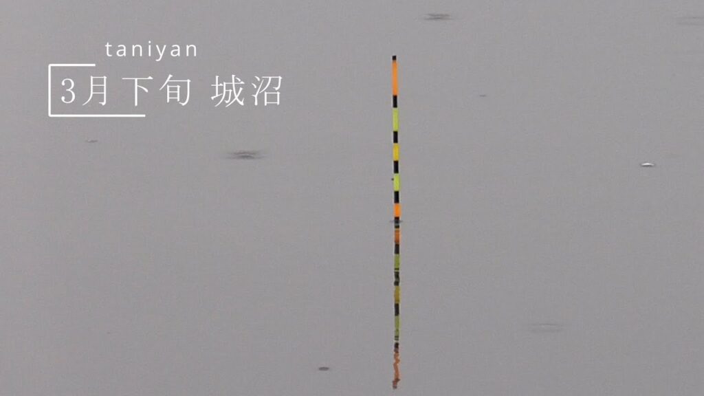 3月下旬 暖かい小雨の城沼