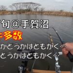 3月下旬・ハタキ多数＠手賀沼水系【へらぶな釣り】