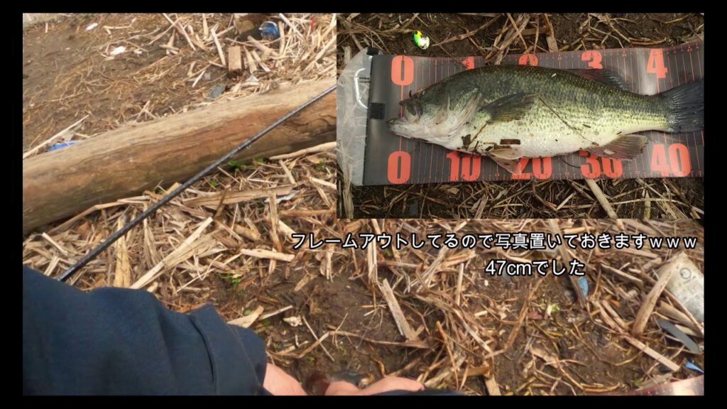 3月上旬　印旛沼水系　ブラックバス釣りに行ってきました