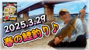 【大阪・大和川3月末春の鯉釣り】ヤバい!花見シーズン♪鱒レンジャーにマルキュー練りエサ「鯉ごころ」売り切れで「天下無双」代用で鯉は釣れるでしょうか?ダイソーPEライン・Filmoraフィモーラ14