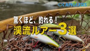 これで釣れないなら、技術不足。オススメ渓流ルアー3選！#SMITHDコンパクト4503グリーンG#イトウクラフトEMISHIファーストtypeⅡ#ITOCRAFTBOWIE50SCT