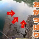 【4月津久井湖おかっぱり】足元がバスだらけ！これどうやって釣るん？？