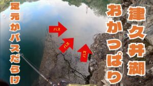 【4月津久井湖おかっぱり】足元がバスだらけ!これどうやって釣るん??