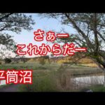 へら鮒釣り　平筒沼愛好会　今年初めての例会　40クラス　バタバタ　俺は？