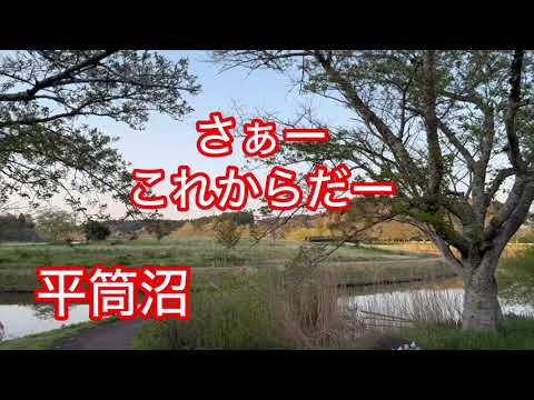 へら鮒釣り　平筒沼愛好会　今年初めての例会　40クラス　バタバタ　俺は？