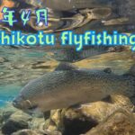 北海道フライフィッシング　支笏湖ニジ41