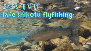 北海道フライフィッシング　支笏湖ニジ41