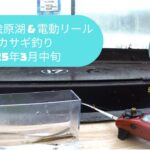 【4K】初めての電動リールでワカサギ釣り 福島県 桧原湖 氷上ドーム船 #ワカサギ釣り