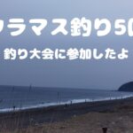 サクラマス釣り5回目精進川から寿都