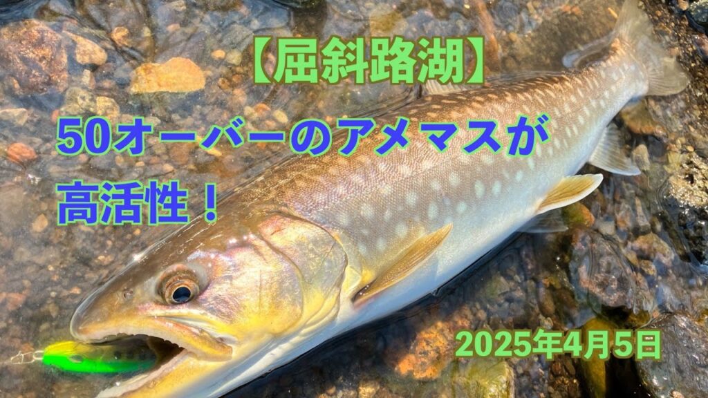 【屈斜路湖】50オーバーのアメマスが高活性！魅力ある湖です！2025年4月5日