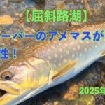 【屈斜路湖】50オーバーのアメマスが高活性！魅力ある湖です！2025年4月5日