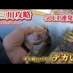 【バス釣り】五三川攻略！春爆！50UP連発！？ギル喰いバスにはコレで狙う！
