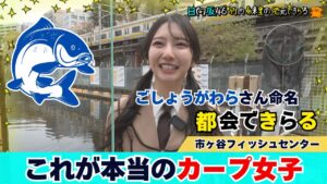 【じもきら第51話】目指せ真のカープ女子 | 都会の真ん中で鯉を釣りたいんよ! 竹内希来里の地元できらる